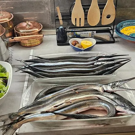 Boho Breeze * أهيلوي