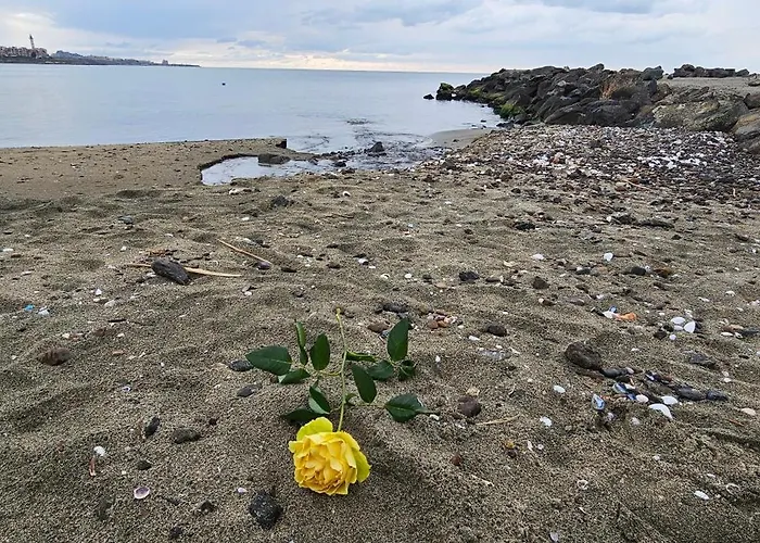 Appartement Boho Breeze Aheloy