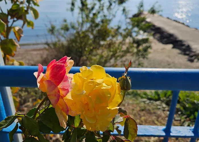Boho Breeze Apartment