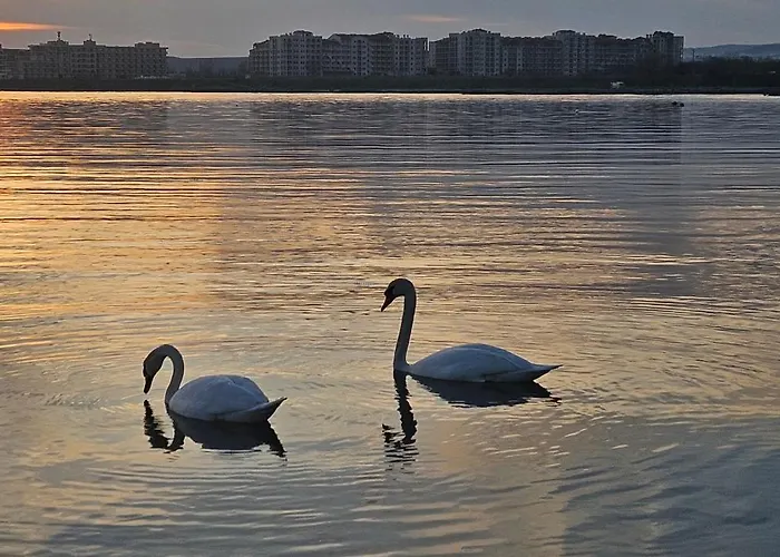 Boho Breeze Apartment *